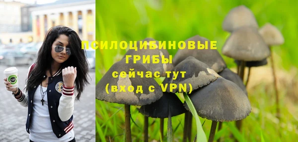 гашик Балабаново